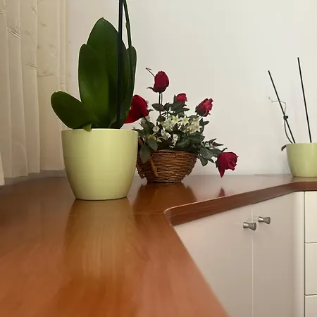 Nest Διαμέρισμα *